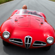 Illustration for article titled Endangered Species: Alfa Romeo 1900 SS
